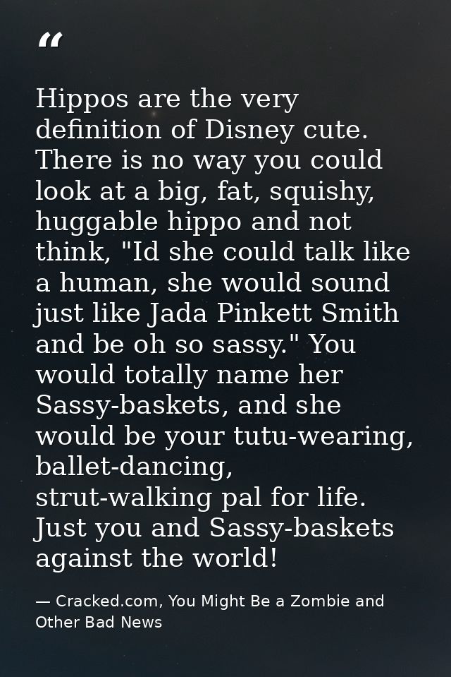 Hippos are the very definition of Disney cute. There is no way you could look at a big, fat, squishy, huggable hippo and — Cracked.com, You Might Be a Zombie and Other Bad News