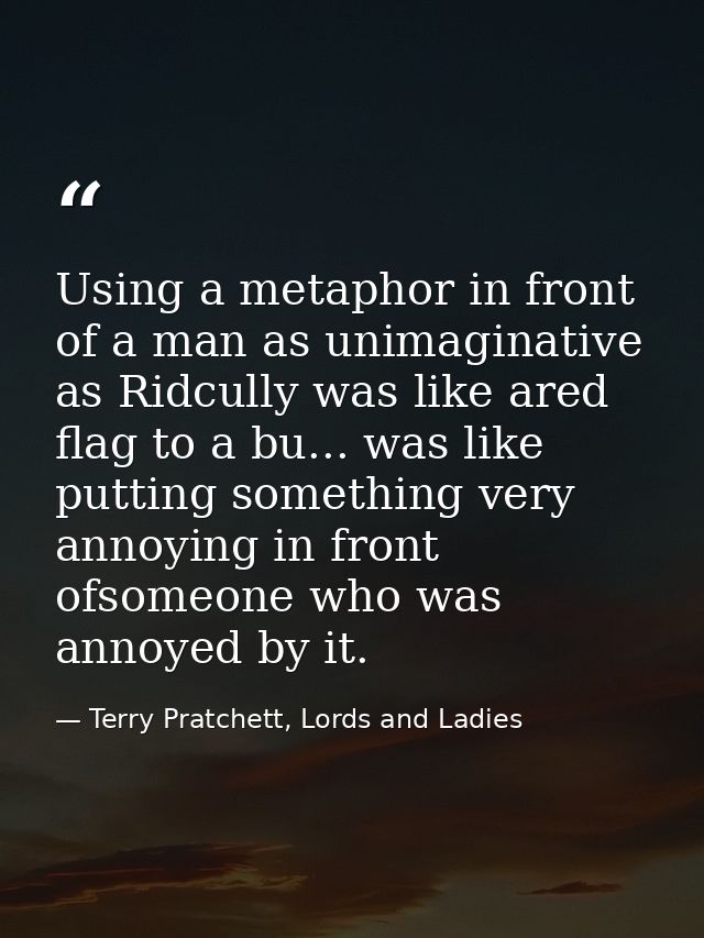 Using a metaphor in front of a man as unimaginative as Ridcully was like ared flag to a bu... was like putting something — Terry Pratchett, Lords and Ladies