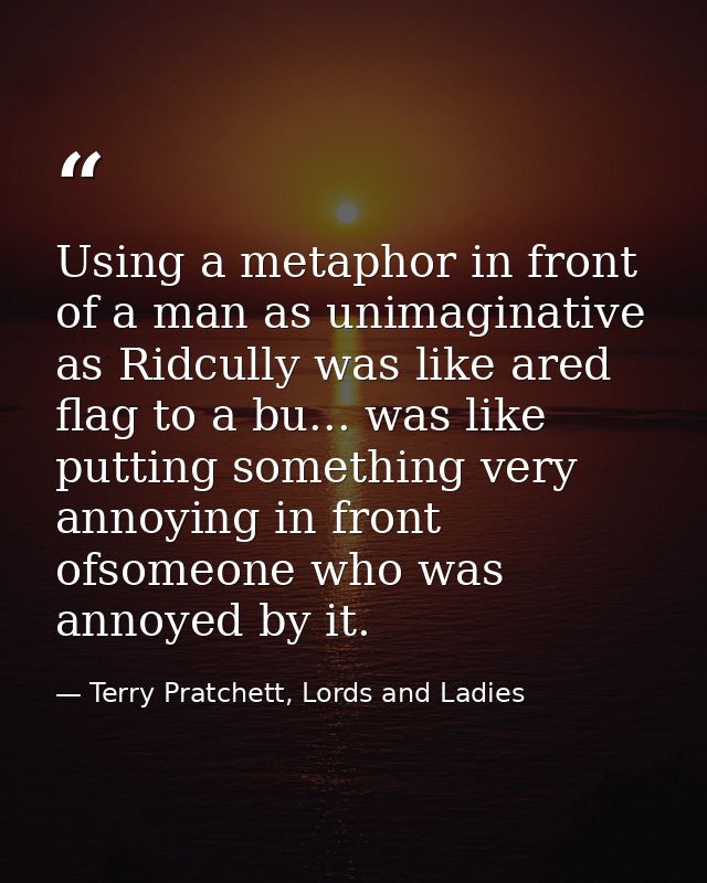 Using a metaphor in front of a man as unimaginative as Ridcully was like ared flag to a bu... was like putting something — Terry Pratchett, Lords and Ladies