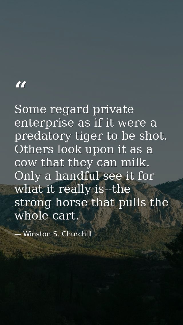 Some regard private enterprise as if it were a predatory tiger to be shot. Others look upon it as a cow that they can mi — Winston S. Churchill
