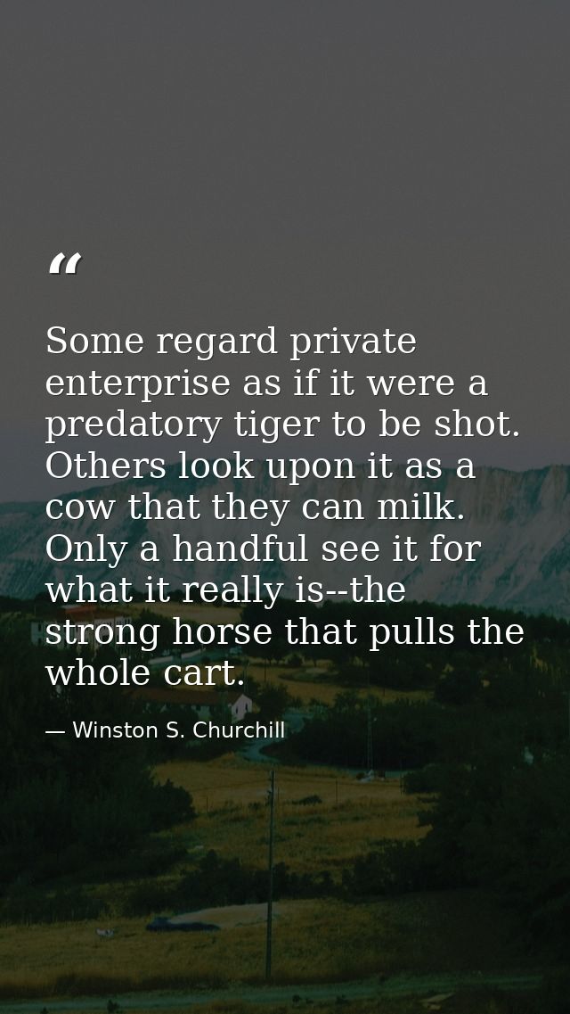 Some regard private enterprise as if it were a predatory tiger to be shot. Others look upon it as a cow that they can mi — Winston S. Churchill