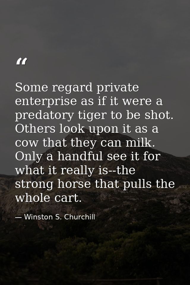 Some regard private enterprise as if it were a predatory tiger to be shot. Others look upon it as a cow that they can mi — Winston S. Churchill