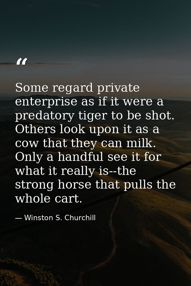 Some regard private enterprise as if it were a predatory tiger to be shot. Others look upon it as a cow that they can mi — Winston S. Churchill