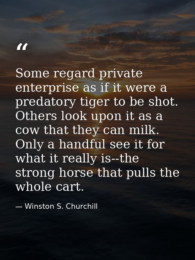 Some regard private enterprise as if it were a predatory tiger to be shot. Others look upon it as a cow that they can mi — Winston S. Churchill