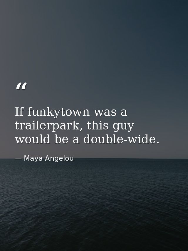If funkytown was a trailerpark, this guy would be a double-wide. — Maya Angelou