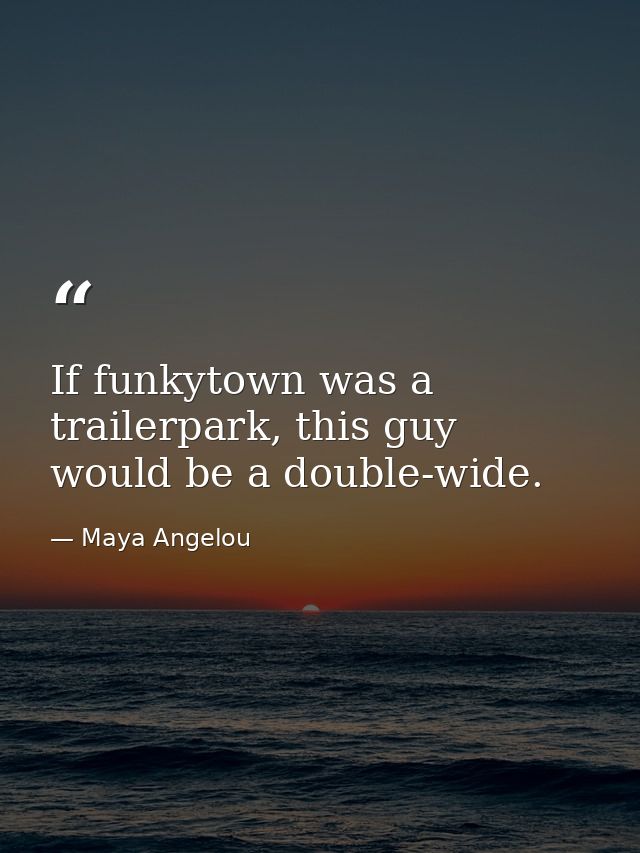If funkytown was a trailerpark, this guy would be a double-wide. — Maya Angelou