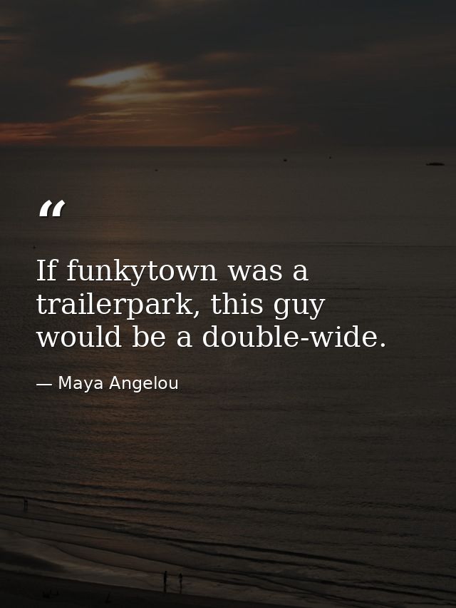 If funkytown was a trailerpark, this guy would be a double-wide. — Maya Angelou