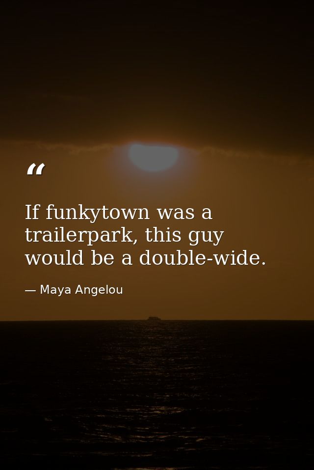 If funkytown was a trailerpark, this guy would be a double-wide. — Maya Angelou
