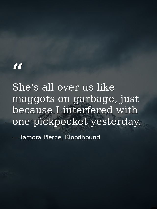 She's all over us like maggots on garbage, just because I interfered with one pickpocket yesterday. — Tamora Pierce, Bloodhound