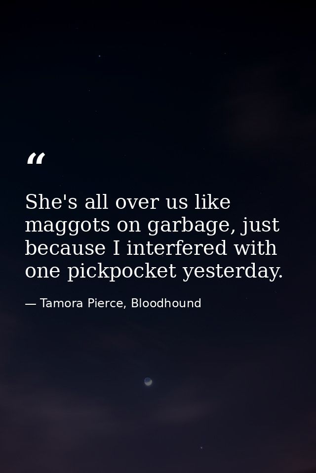 She's all over us like maggots on garbage, just because I interfered with one pickpocket yesterday. — Tamora Pierce, Bloodhound