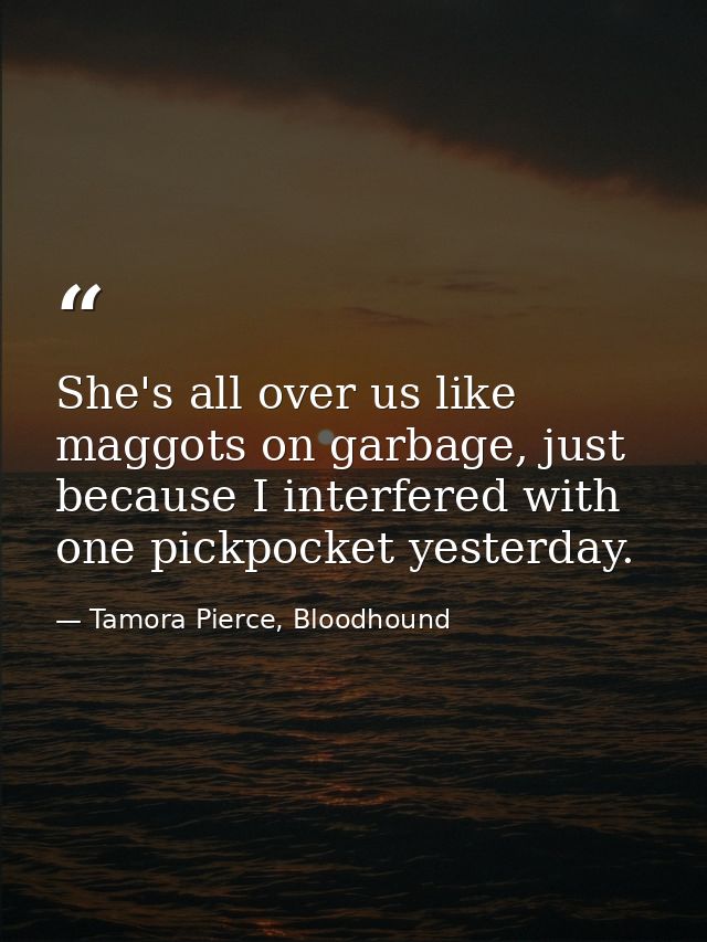 She's all over us like maggots on garbage, just because I interfered with one pickpocket yesterday. — Tamora Pierce, Bloodhound