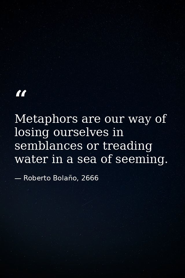 Metaphors are our way of losing ourselves in semblances or treading water in a sea of seeming. — Roberto Bolaño, 2666