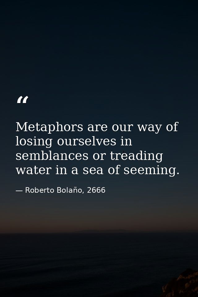 Metaphors are our way of losing ourselves in semblances or treading water in a sea of seeming. — Roberto Bolaño, 2666