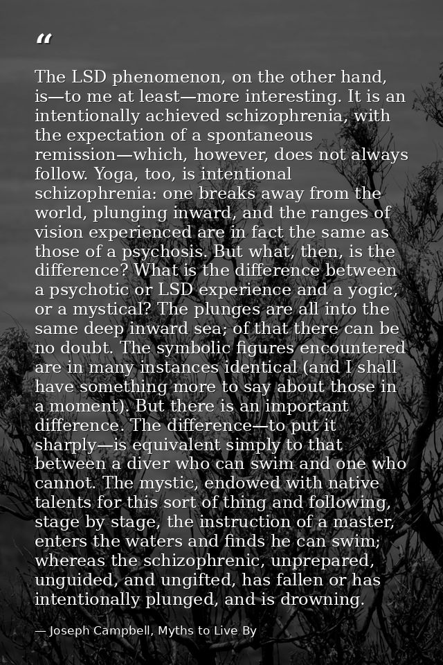 The LSD phenomenon, on the other hand, is—to me at least—more interesting. It is an intentionally achieved schizophrenia — Joseph Campbell, Myths to Live By