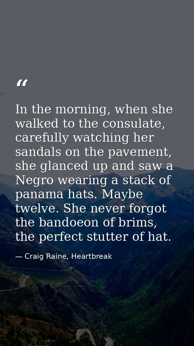 In the morning, when she walked to the consulate, carefully watching her sandals on the pavement, she glanced up and saw — Craig Raine, Heartbreak