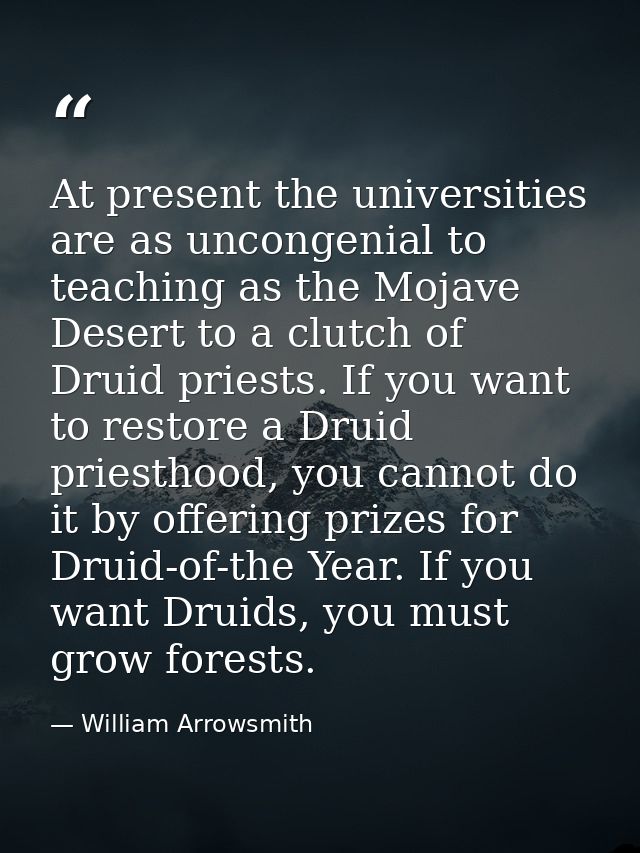 At present the universities are as uncongenial to teaching as the Mojave Desert to a clutch of Druid priests. If you wan — William Arrowsmith
