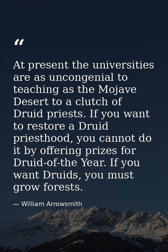 At present the universities are as uncongenial to teaching as the Mojave Desert to a clutch of Druid priests. If you wan — William Arrowsmith