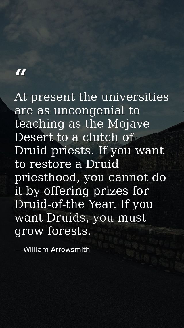 At present the universities are as uncongenial to teaching as the Mojave Desert to a clutch of Druid priests. If you wan — William Arrowsmith