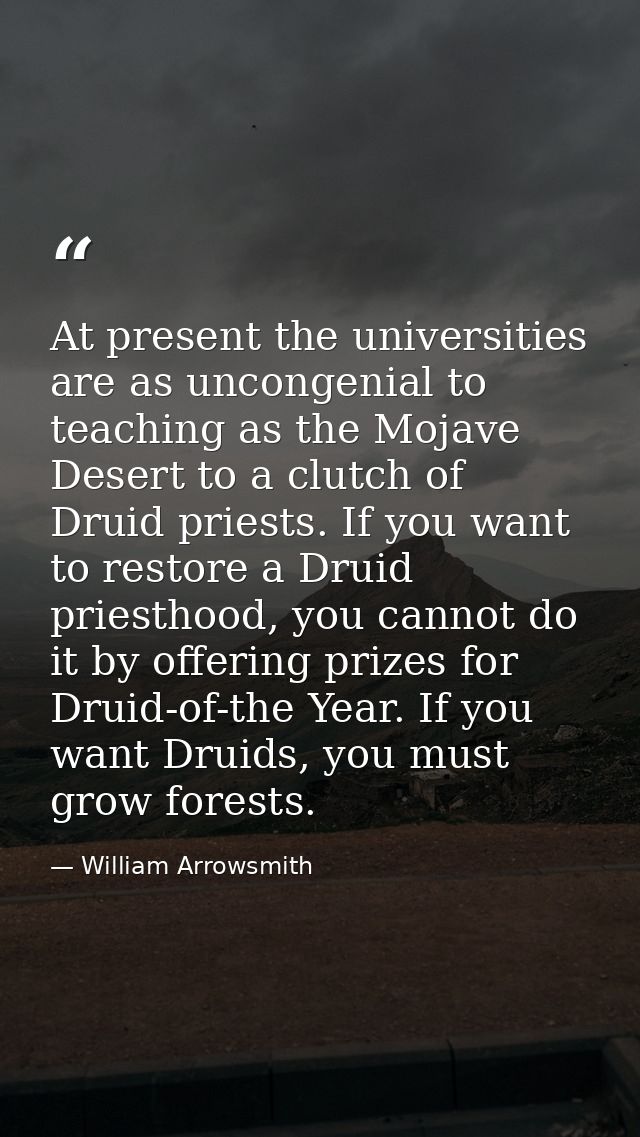 At present the universities are as uncongenial to teaching as the Mojave Desert to a clutch of Druid priests. If you wan — William Arrowsmith