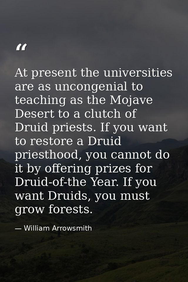 At present the universities are as uncongenial to teaching as the Mojave Desert to a clutch of Druid priests. If you wan — William Arrowsmith