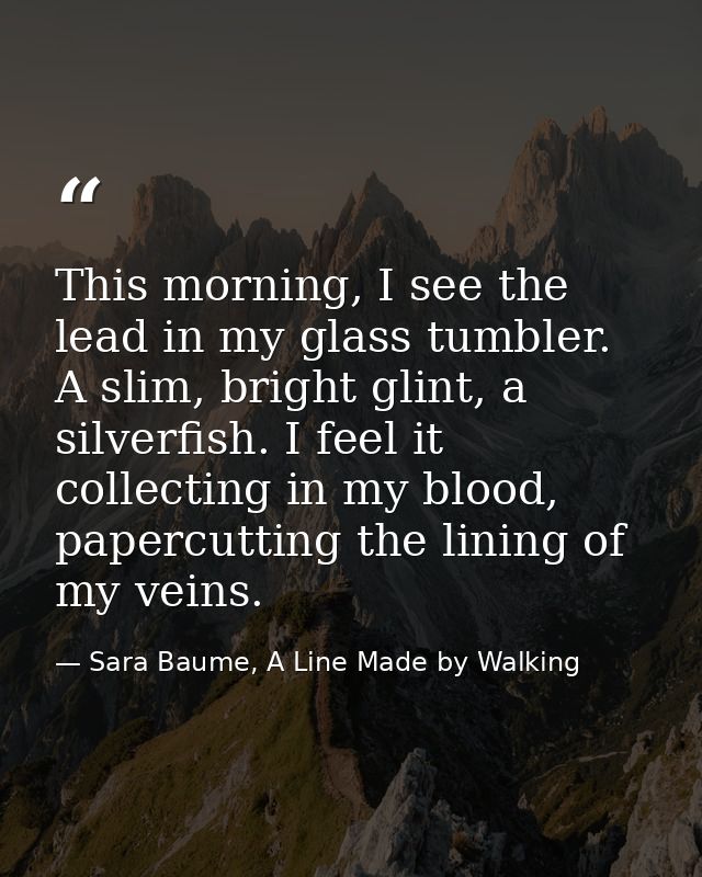 This morning, I see the lead in my glass tumbler. A slim, bright glint, a silverfish. I feel it collecting in my blood,  — Sara Baume, A Line Made by Walking