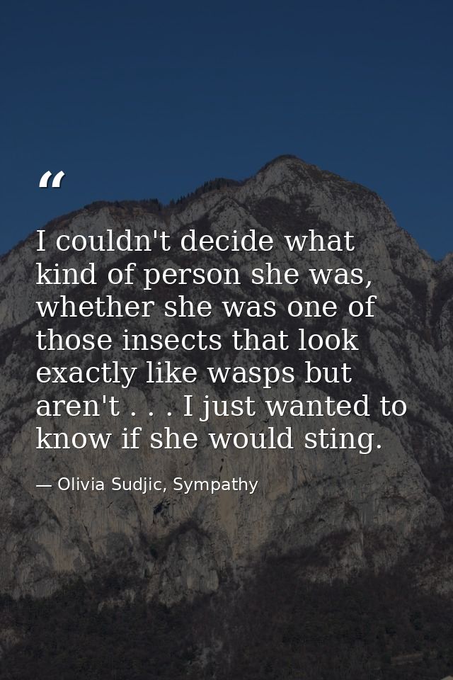 I couldn't decide what kind of person she was, whether she was one of those insects that look exactly like wasps but are — Olivia Sudjic, Sympathy