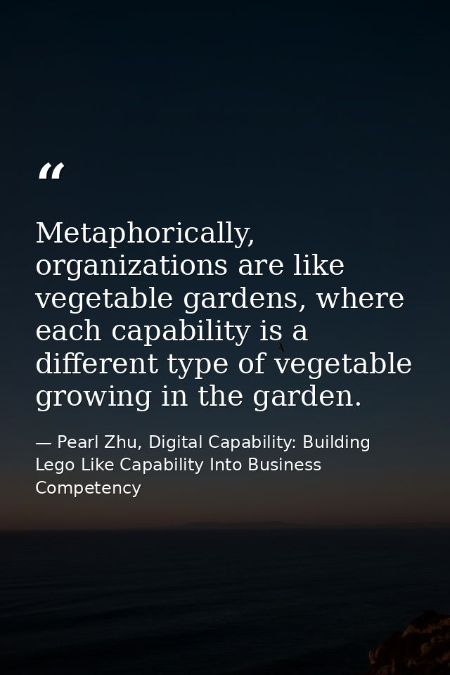 Metaphorically, organizations are like vegetable gardens, where each capability is a different type of vegetable growing — Pearl Zhu, Digital Capability: Building Lego Like Capability Into Business Competency