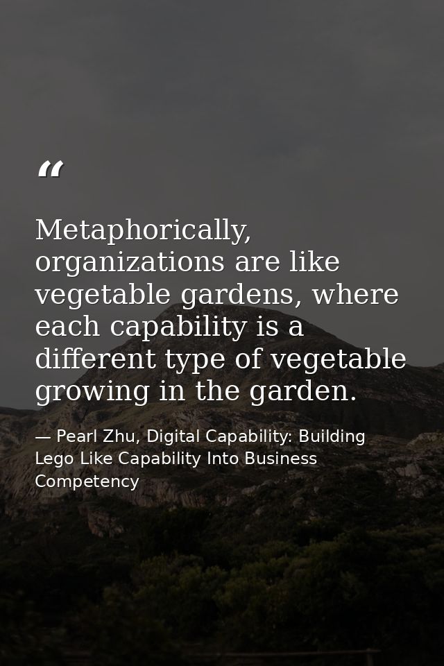 Metaphorically, organizations are like vegetable gardens, where each capability is a different type of vegetable growing — Pearl Zhu, Digital Capability: Building Lego Like Capability Into Business Competency