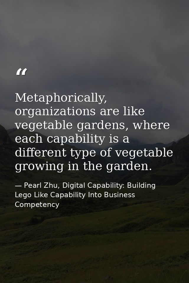 Metaphorically, organizations are like vegetable gardens, where each capability is a different type of vegetable growing — Pearl Zhu, Digital Capability: Building Lego Like Capability Into Business Competency