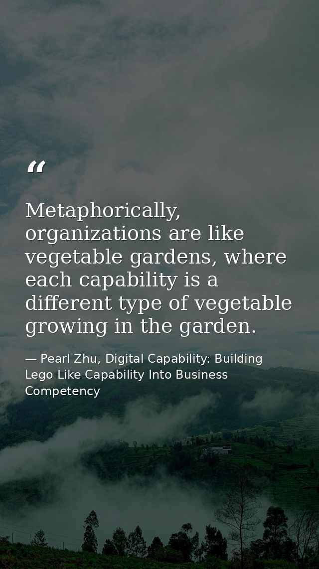 Metaphorically, organizations are like vegetable gardens, where each capability is a different type of vegetable growing — Pearl Zhu, Digital Capability: Building Lego Like Capability Into Business Competency