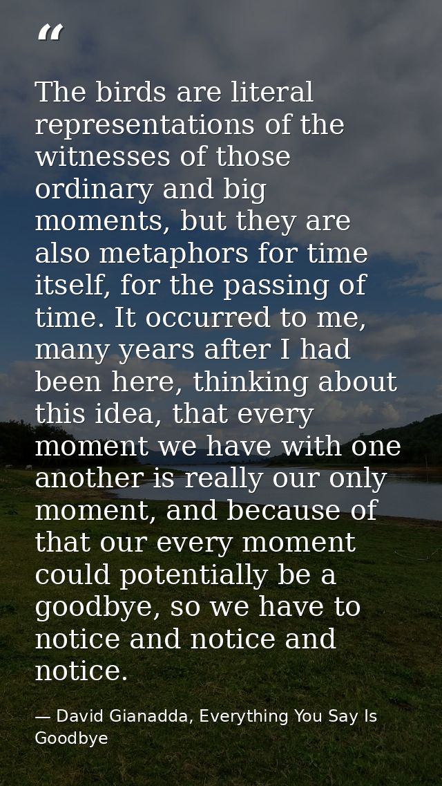 The birds are literal representations of the witnesses of those ordinary and big moments, but they are also metaphors fo — David Gianadda, Everything You Say Is Goodbye