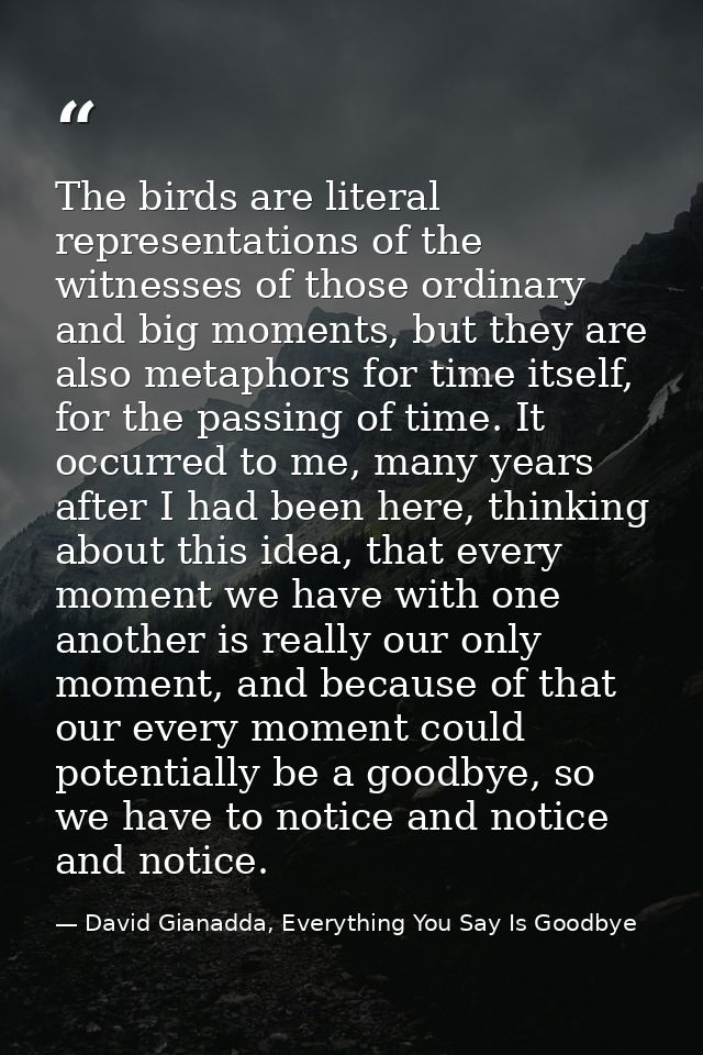 The birds are literal representations of the witnesses of those ordinary and big moments, but they are also metaphors fo — David Gianadda, Everything You Say Is Goodbye