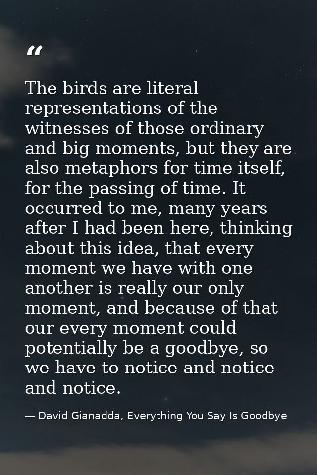 The birds are literal representations of the witnesses of those ordinary and big moments, but they are also metaphors fo — David Gianadda, Everything You Say Is Goodbye