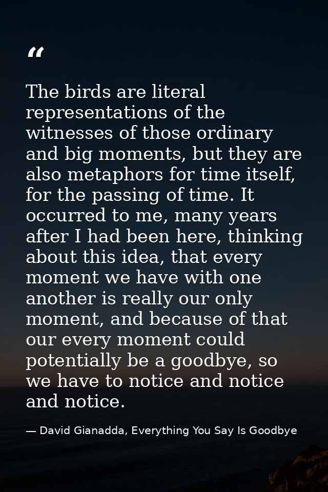 The birds are literal representations of the witnesses of those ordinary and big moments, but they are also metaphors fo — David Gianadda, Everything You Say Is Goodbye