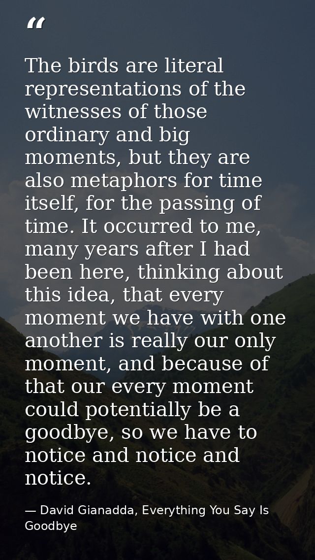 The birds are literal representations of the witnesses of those ordinary and big moments, but they are also metaphors fo — David Gianadda, Everything You Say Is Goodbye