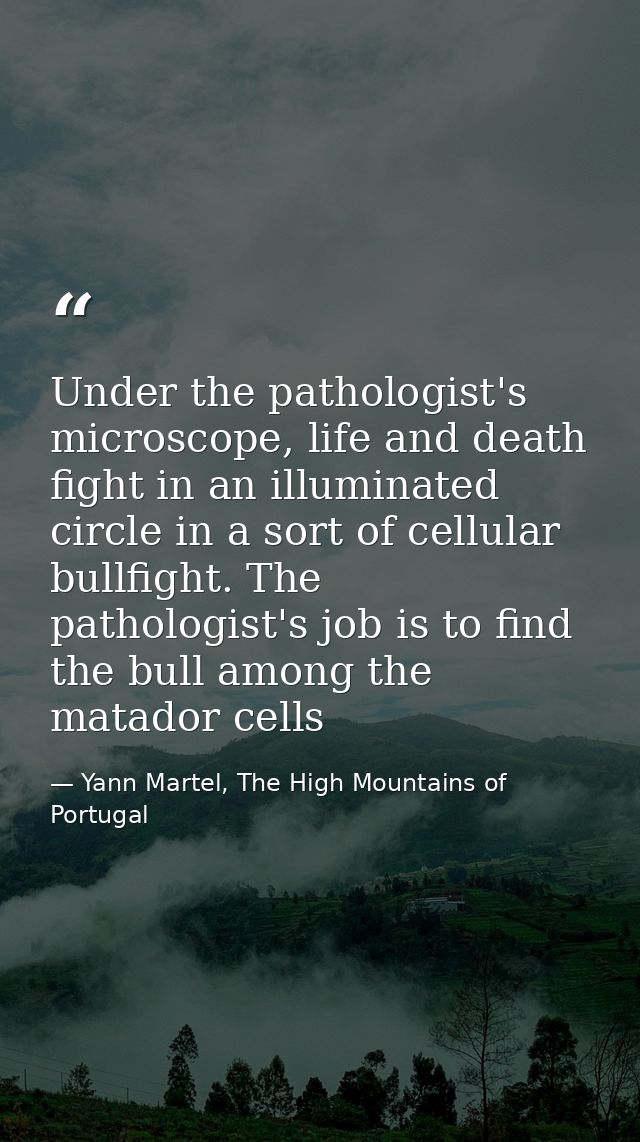 Under the pathologist's microscope, life and death fight in an illuminated circle in a sort of cellular bullfight. The p — Yann Martel, The High Mountains of Portugal