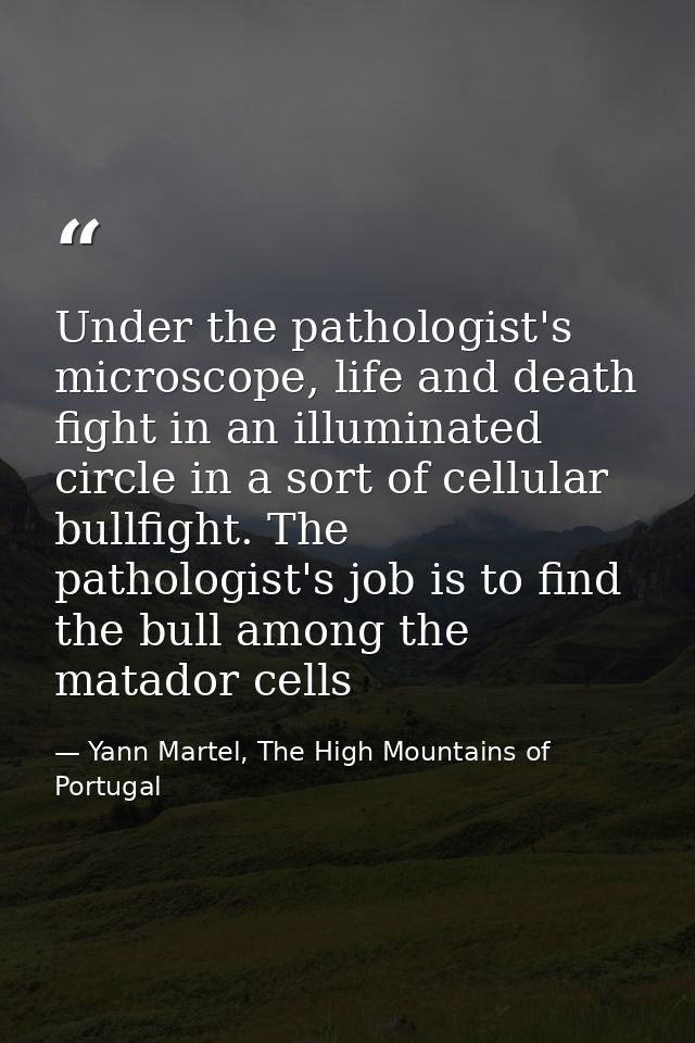 Under the pathologist's microscope, life and death fight in an illuminated circle in a sort of cellular bullfight. The p — Yann Martel, The High Mountains of Portugal
