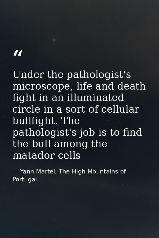Under the pathologist's microscope, life and death fight in an illuminated circle in a sort of cellular bullfight. The p — Yann Martel, The High Mountains of Portugal
