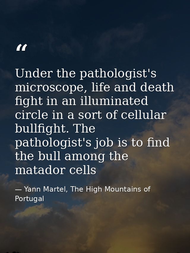 Under the pathologist's microscope, life and death fight in an illuminated circle in a sort of cellular bullfight. The p — Yann Martel, The High Mountains of Portugal