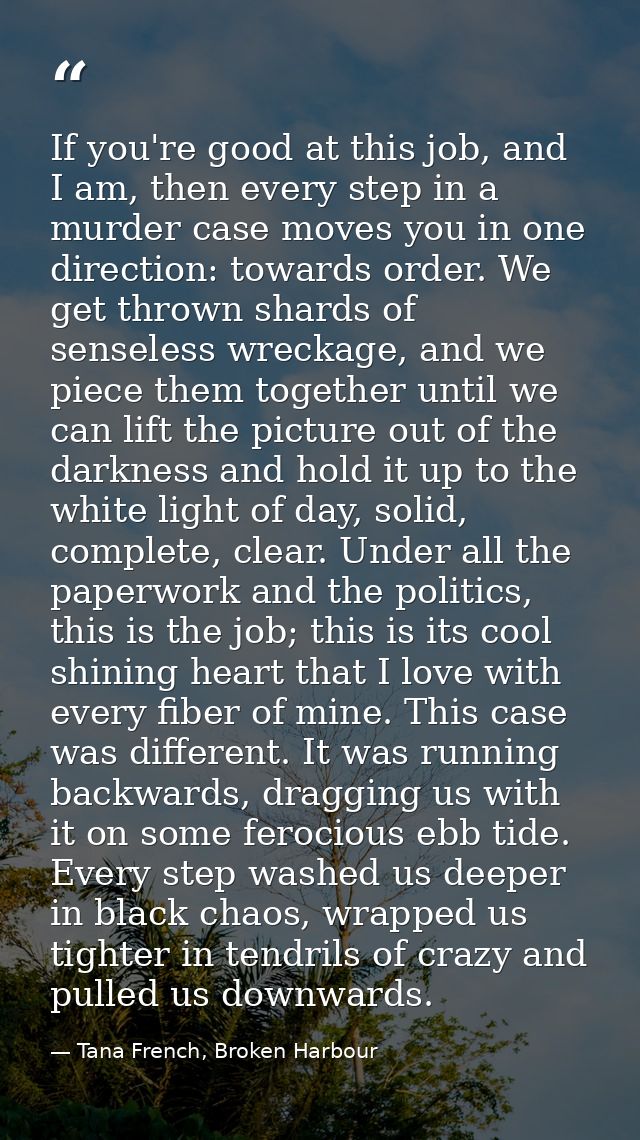 If you're good at this job, and I am, then every step in a murder case moves you in one direction: towards order. We get — Tana French, Broken Harbour