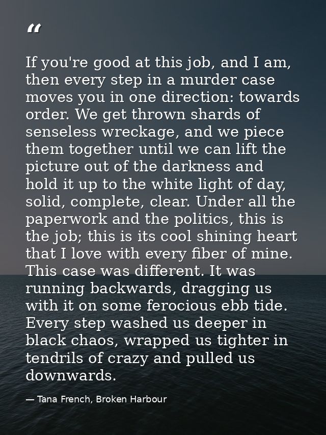 If you're good at this job, and I am, then every step in a murder case moves you in one direction: towards order. We get — Tana French, Broken Harbour