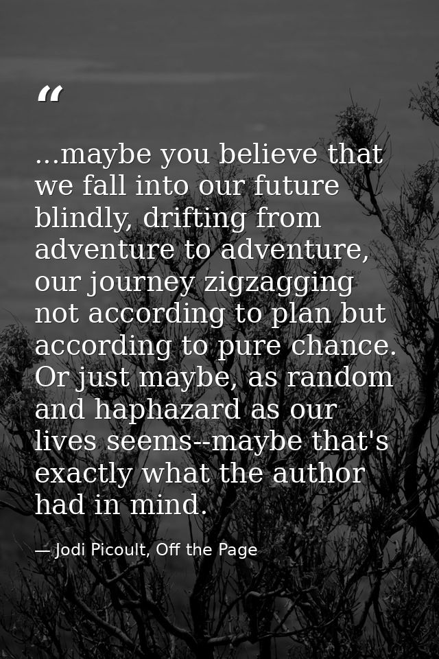 ...maybe you believe that we fall into our future blindly, drifting from adventure to adventure, our journey zigzagging  — Jodi Picoult, Off the Page