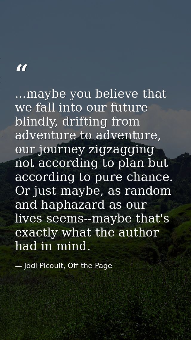 ...maybe you believe that we fall into our future blindly, drifting from adventure to adventure, our journey zigzagging  — Jodi Picoult, Off the Page
