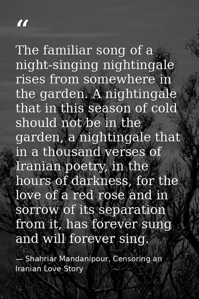 The familiar song of a night-singing nightingale rises from somewhere in the garden. A nightingale that in this season o — Shahriar Mandanipour, Censoring an Iranian Love Story