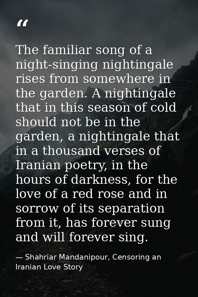 The familiar song of a night-singing nightingale rises from somewhere in the garden. A nightingale that in this season o — Shahriar Mandanipour, Censoring an Iranian Love Story