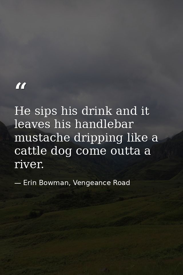 He sips his drink and it leaves his handlebar mustache dripping like a cattle dog come outta a river. — Erin Bowman, Vengeance Road