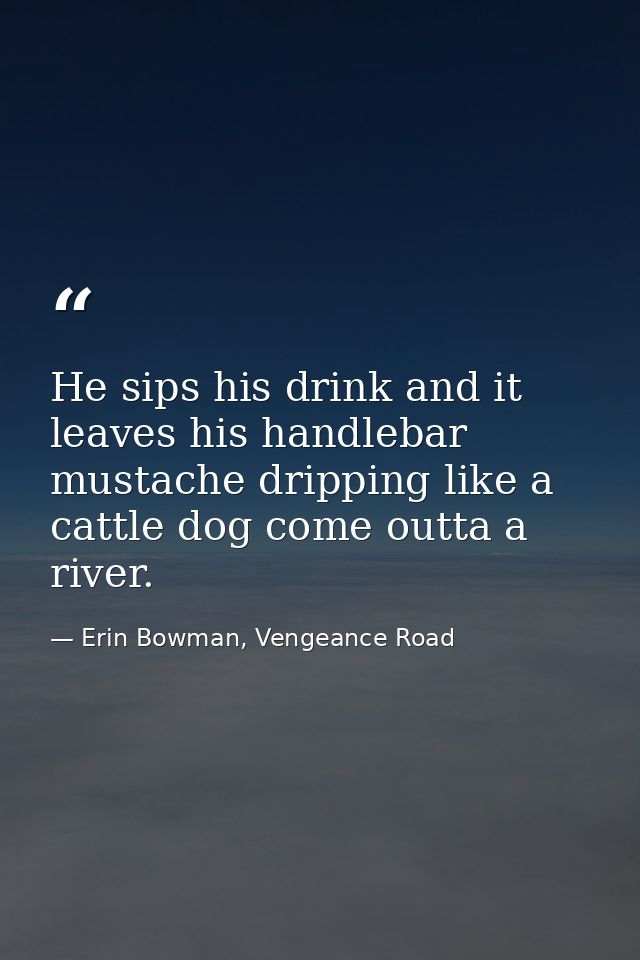 He sips his drink and it leaves his handlebar mustache dripping like a cattle dog come outta a river. — Erin Bowman, Vengeance Road