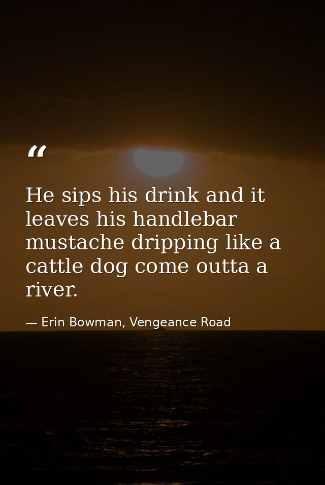 He sips his drink and it leaves his handlebar mustache dripping like a cattle dog come outta a river. — Erin Bowman, Vengeance Road