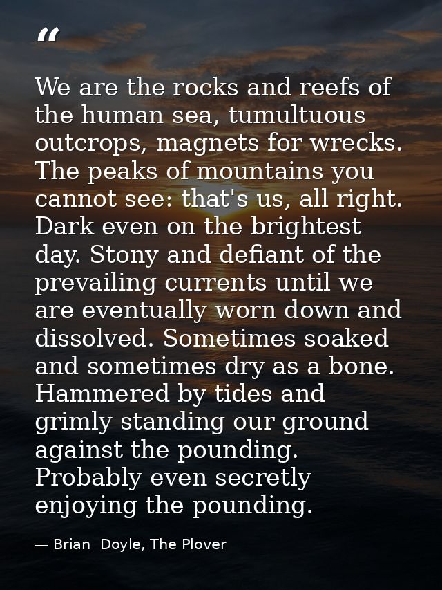 We are the rocks and reefs of the human sea, tumultuous outcrops, magnets for wrecks. The peaks of mountains you cannot  — Brian  Doyle, The Plover