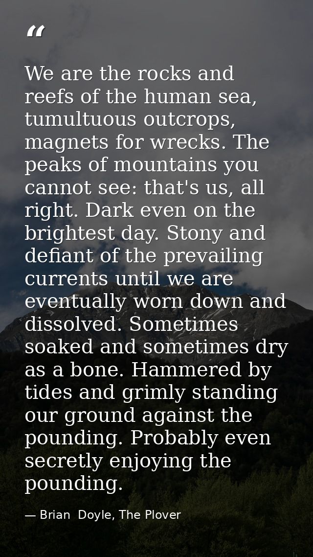 We are the rocks and reefs of the human sea, tumultuous outcrops, magnets for wrecks. The peaks of mountains you cannot  — Brian  Doyle, The Plover